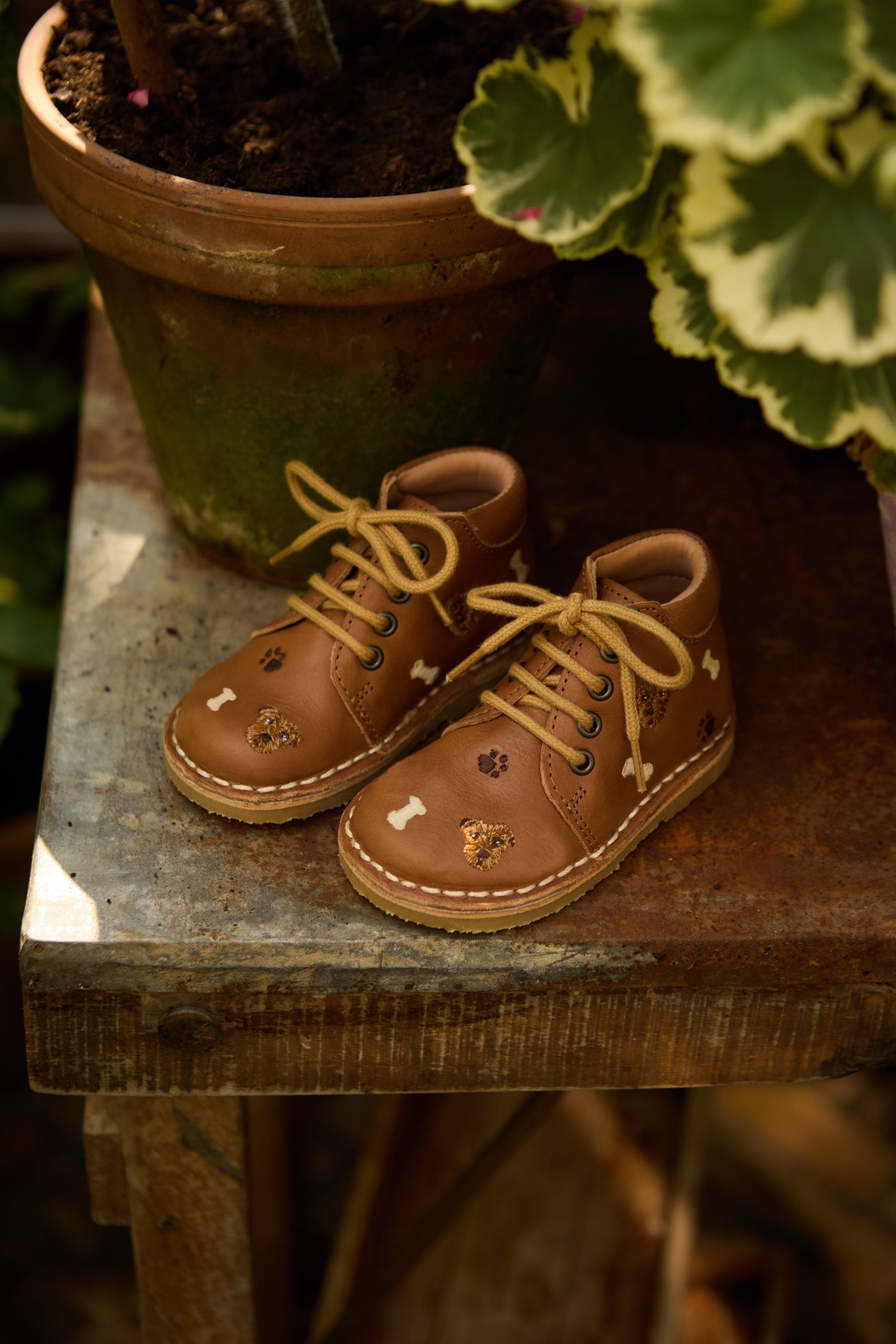 Une paire de chaussures pour enfant à lacets couleur latté avec broderie de chiens.