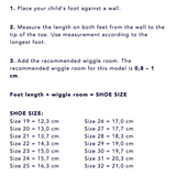 Chausson Petit Nord Velcro Ballerina