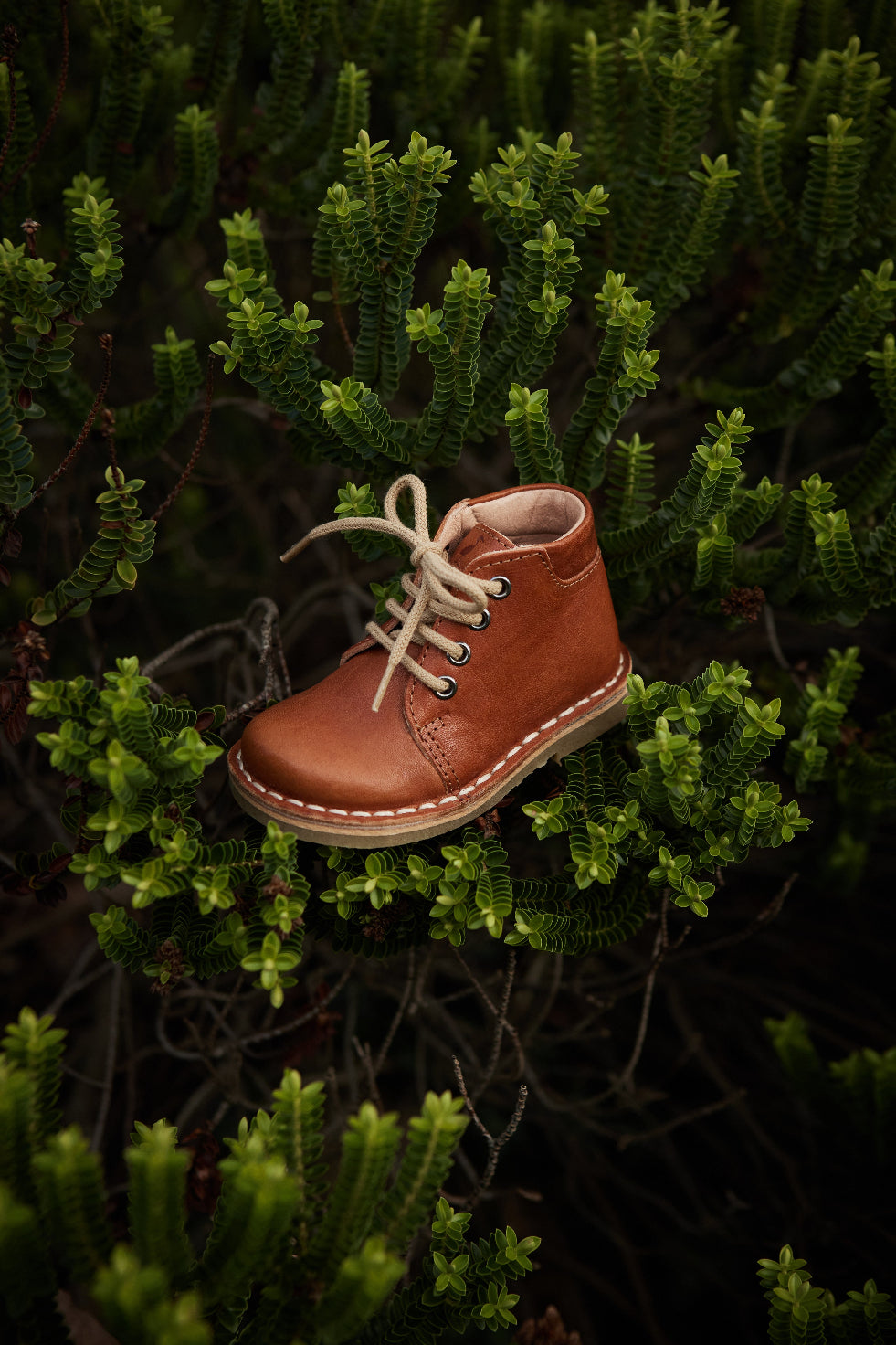 Chaussure danoise pour enfant de Petit Nord, couleur cognac, avec lacets beiges, look vintage. Déposée dans un arbuste.