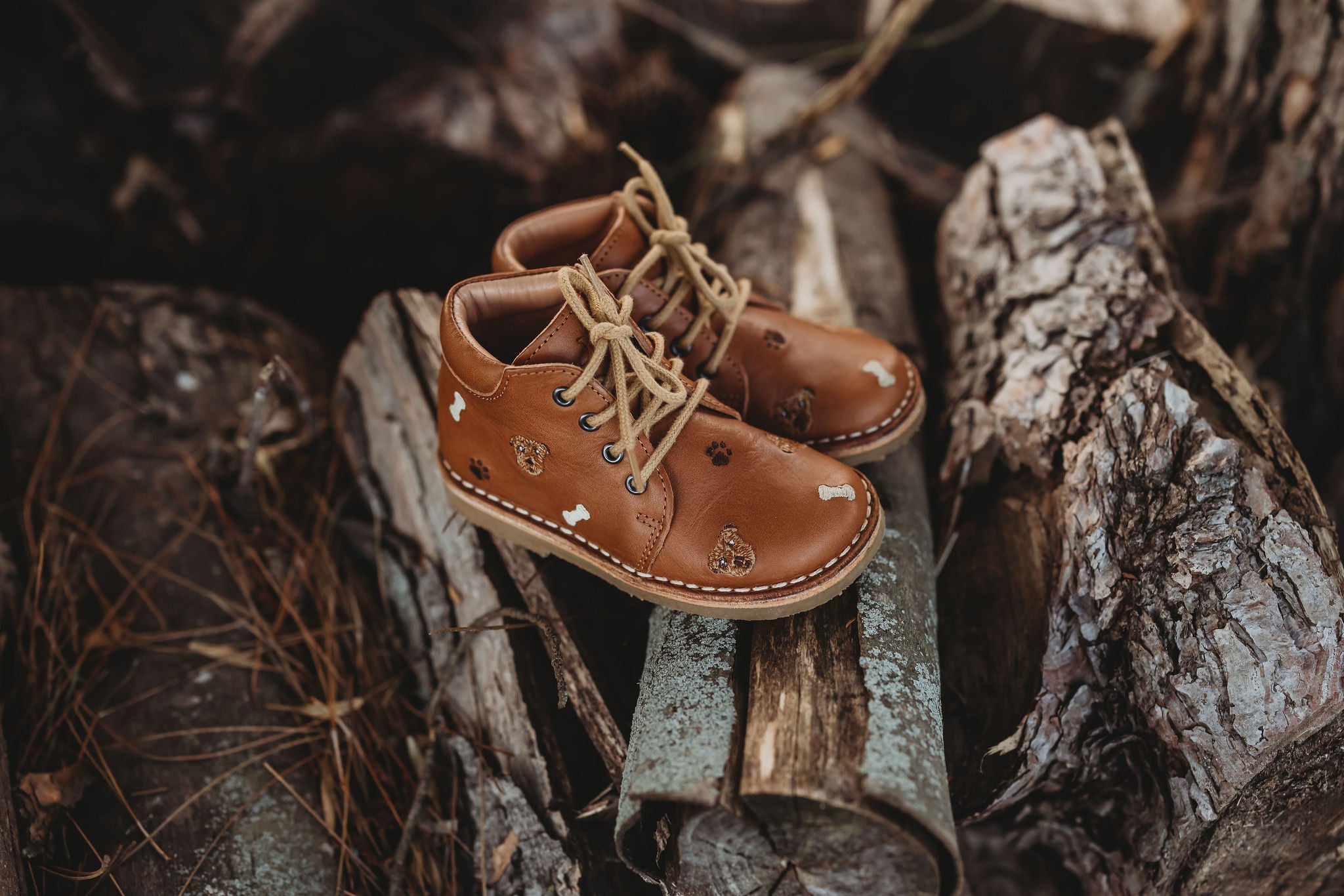 Chaussures Petit Nord avec chiens pour enfants