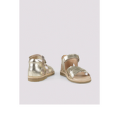 Petit Nord Scallop Cross-Over Gold Sandal