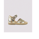 Petit Nord Scallop Cross-Over Gold Sandal