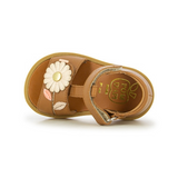 Pom d'api Poppy Daisy Camel Copper Sandal